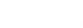 Logo Inc. Magazine Vivesmart